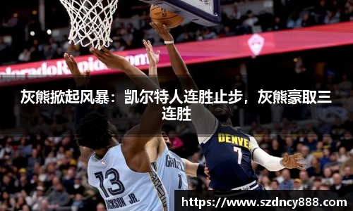 BoB半岛·体育中国官方网站