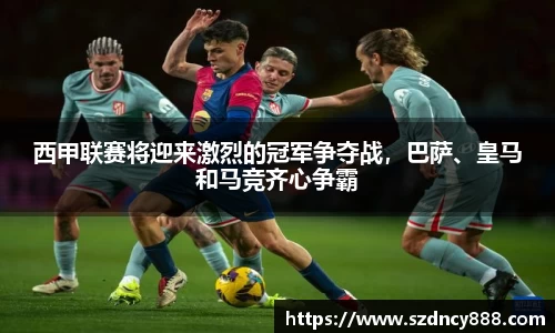 半岛·BOB官方网站