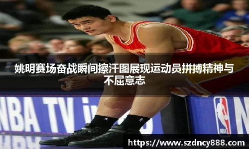 半岛bob·官方网站