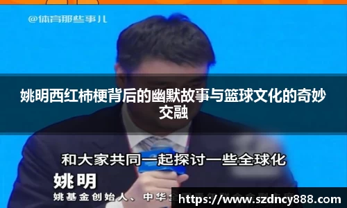 半岛·BOB官方网站