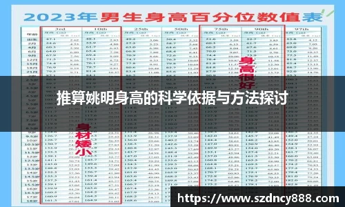 半岛bob·官方网站