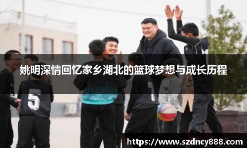 半岛·BOB官方网站