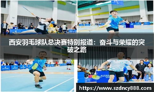 半岛·BOB官方网站