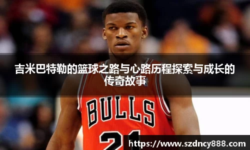 半岛bob·官方网站