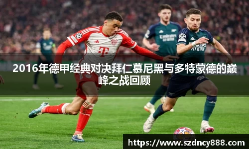 半岛bob·官方网站
