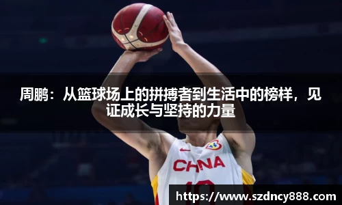 BoB半岛·体育中国官方网站