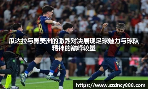 半岛bob·官方网站