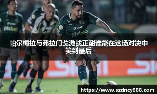 半岛bob·官方网站