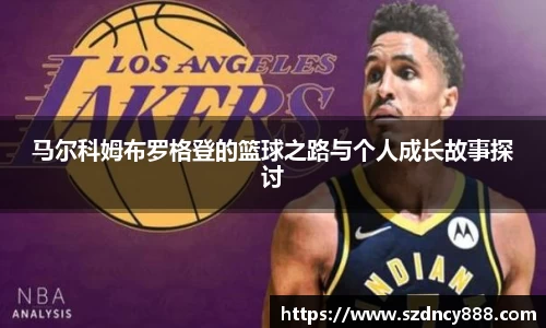 半岛·BOB官方网站
