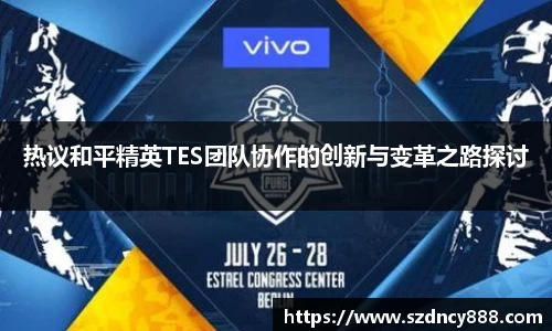 热议和平精英TES团队协作的创新与变革之路探讨