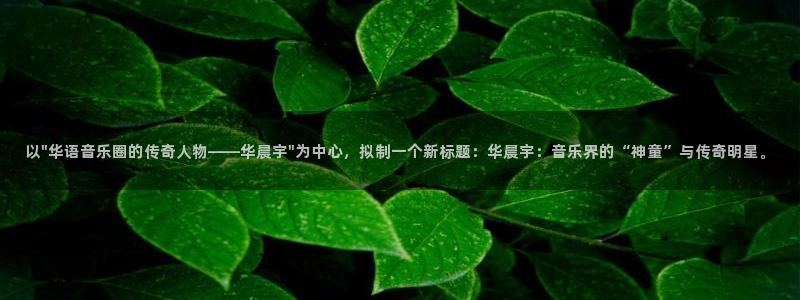 申慱sunbet苹果app：以\