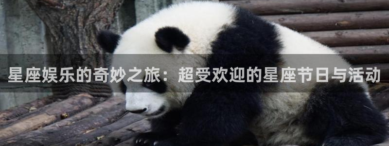 sunbet官网：星座娱乐的奇妙之旅：超受欢迎的星座节日与活动
