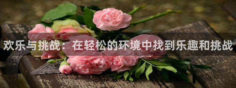 sunbet集团中国官网入口：欢乐与挑战：在轻松的环境中找到乐趣和挑战