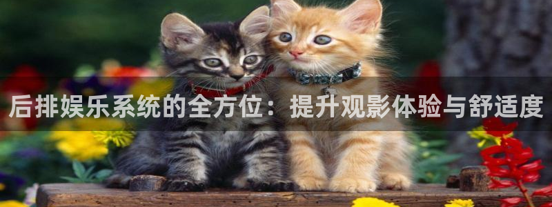 申搏sunbet官网手机版：后排娱乐系统的全方位：提升观影体验与舒适度