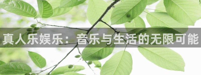 sunbet官网手机版：真人乐娱乐：音乐与生活的无限可能
