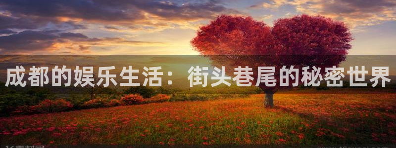 sunbet官网手机版：成都的娱乐生活：街头巷尾的秘密世界