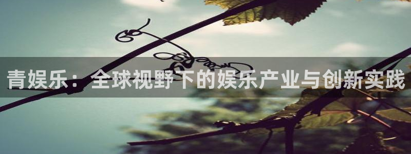 sunbet申慱官网：青娱乐：全球视野下的娱乐产业与创新实践