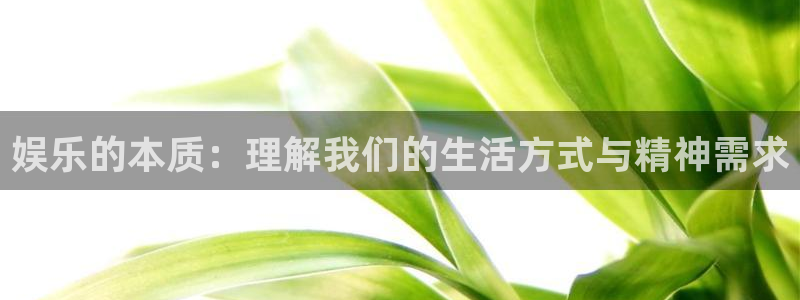 sunbet集团中国官网入口：娱乐的本质：理解我们的生活方式与精神需求
