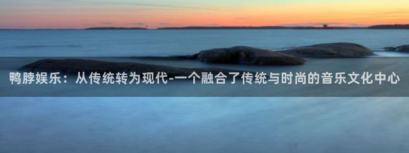 sunbet官网手机版：鸭脖娱乐：从传统转为现代-一个融合了传统与时尚的音乐文化中心