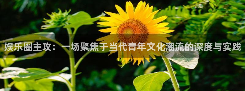 申慱sunbet苹果app：娱乐圈主攻：一场聚焦于当代青年文化潮流的深度与实践