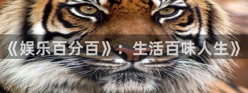 sunbet申慱官网：《娱乐百分百》：生活百味人生》