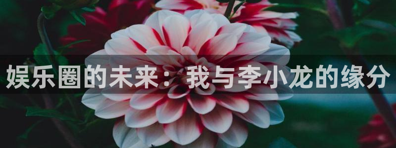 sunbet集团中国官网入口：娱乐圈的未来：我与李小龙的缘分
