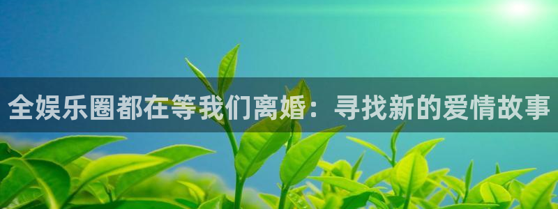 sunbet集团中国官网入口：全娱乐圈都在等我们离婚：寻找新的爱情故事